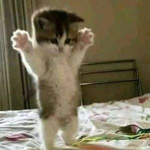 Meet your Posher, Kahlan